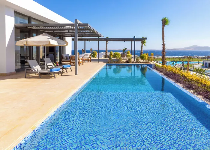 Rixos Sheikh - Adults Only 18
