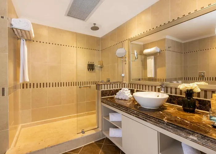 Rixos Sheikh - Adults Only 18