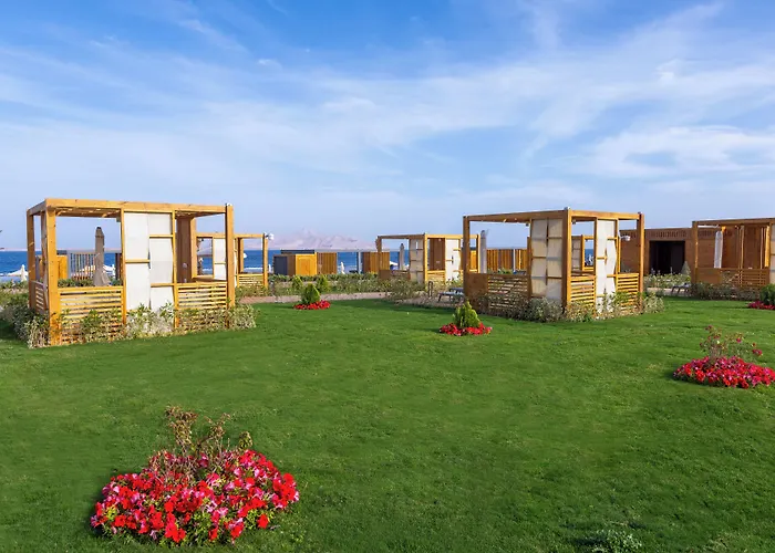 Rixos Sheikh - Adults Only 18 度假村 5*